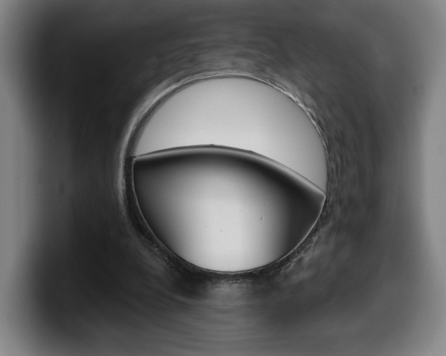 X0000099500248200805150955