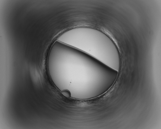 X0000099500249200805150955