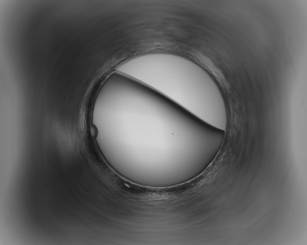 X0000099500250200805150955