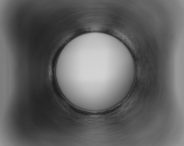 X0000099500251200805150955