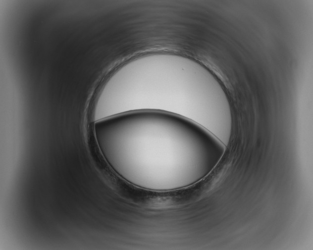 X0000099500252200805150955