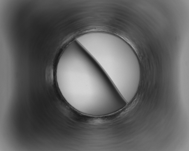 X0000099500253200805150955