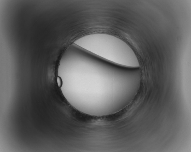 X0000099500259200805150955