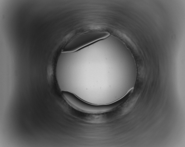 X0000099500260200805150955