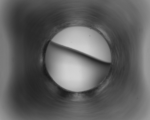 X0000099500261200805150955