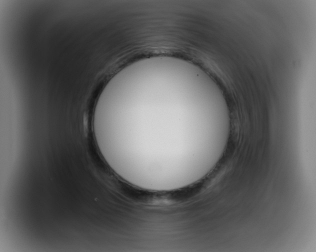 X0000099500262200805150955