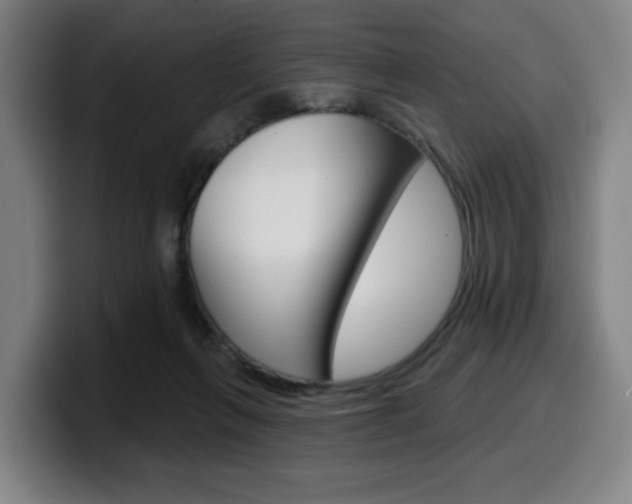X0000099500263200805150955