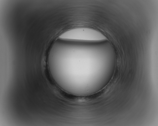 X0000099500264200805150955