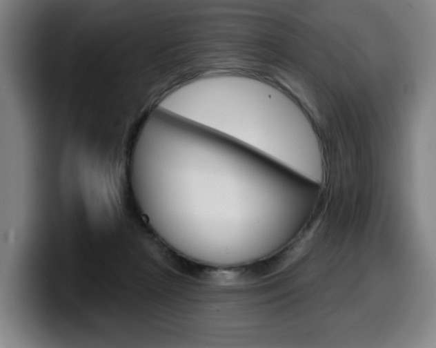 X0000099500265200805150955