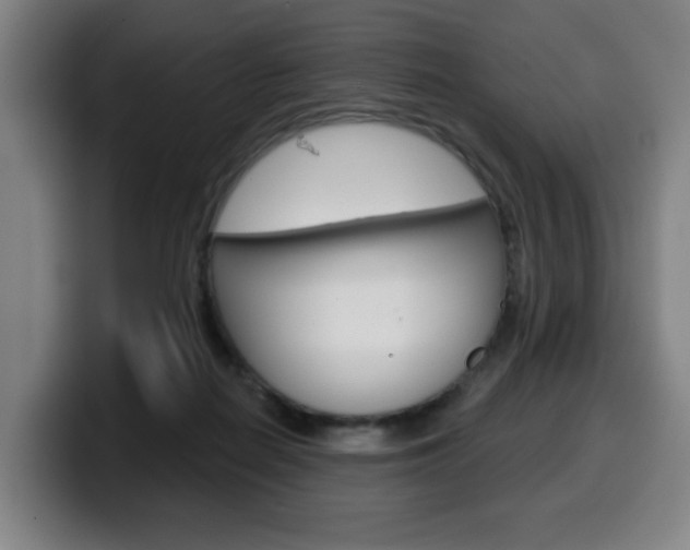 X0000099500266200805150955