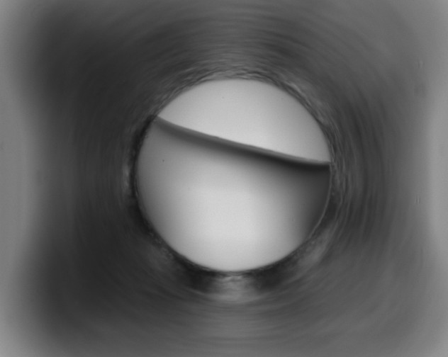 X0000099500269200805150956