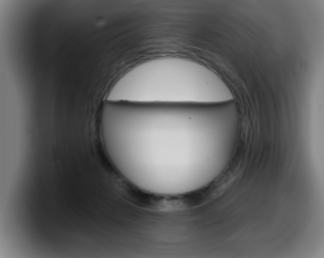 X0000099500270200805150956