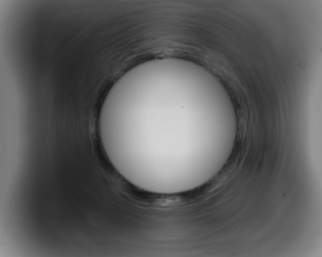 X0000099500274200805150956