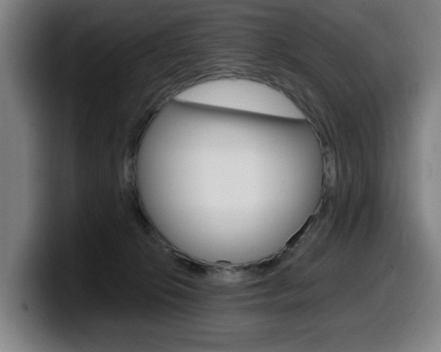 X0000099500276200805150956