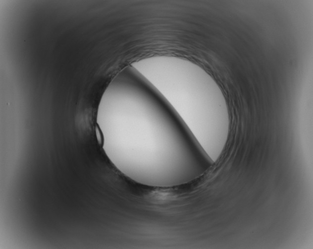 X0000099500280200805150956