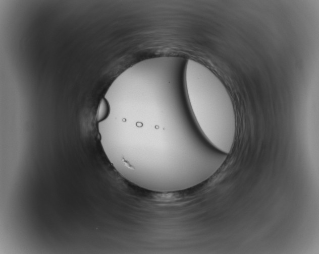 X0000099500281200805150956