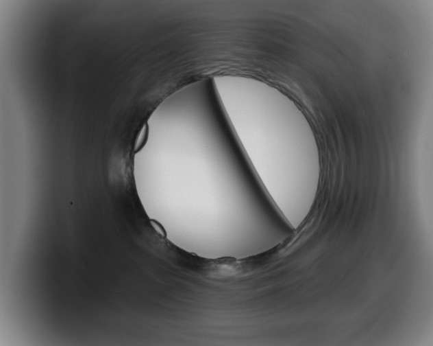 X0000099500285200805150956