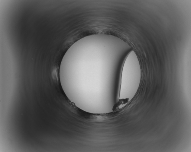 X0000099500286200805150956