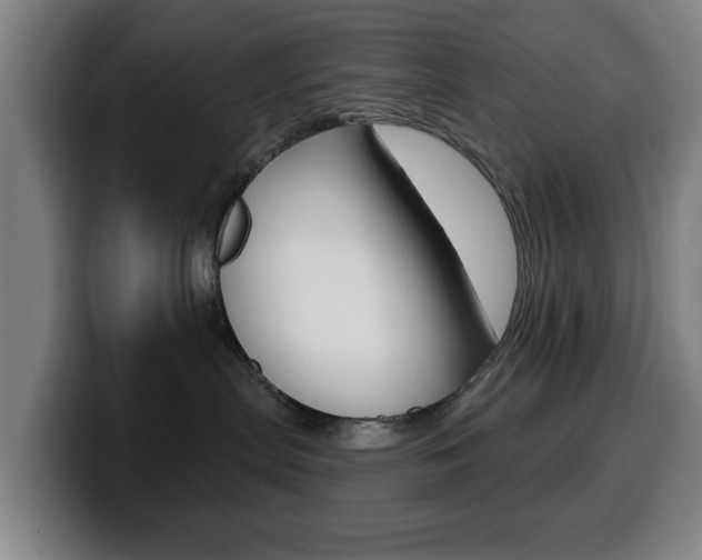 X0000099500287200805150956