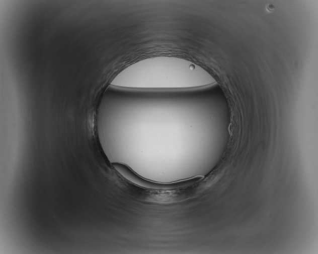 X0000099500288200805150956