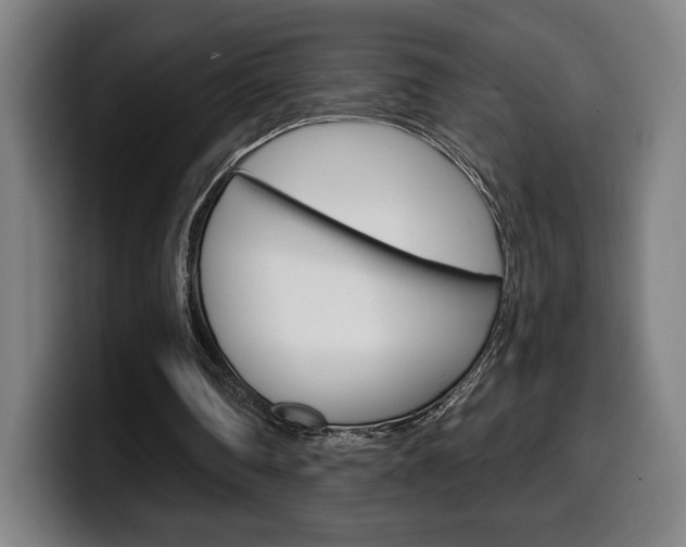 X0000099500290200805150955