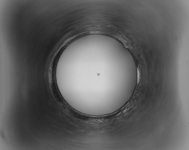 X0000099500291200805150955