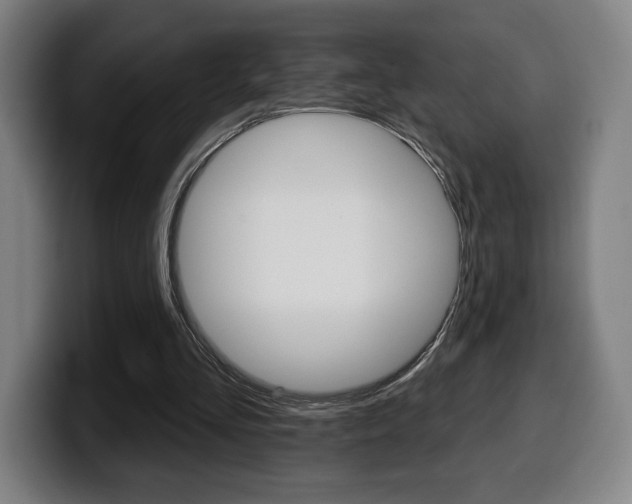 X0000099500293200805150955