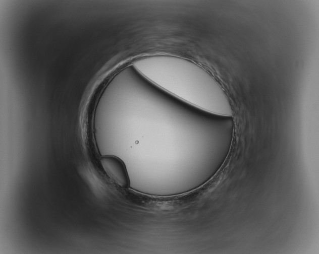 X0000099500295200805150955