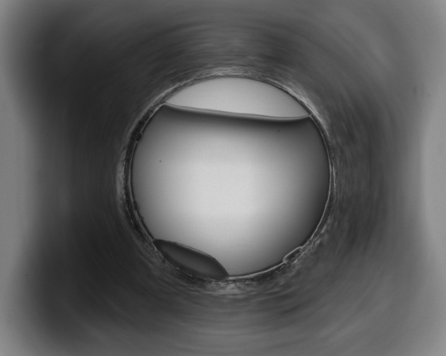 X0000099500297200805150955
