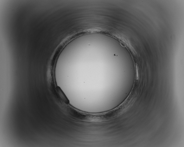 X0000099500300200805150955