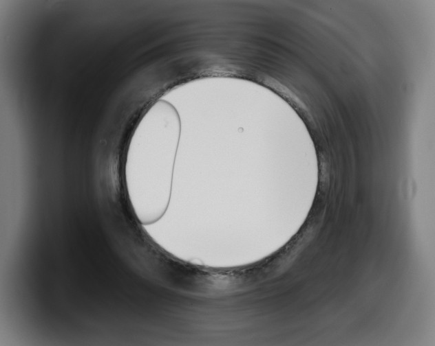 X0000099500302200805150955