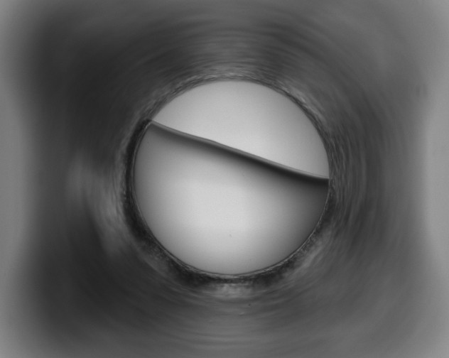 X0000099500303200805150955