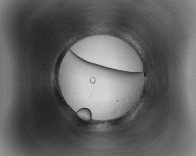 X0000099500306200805150955