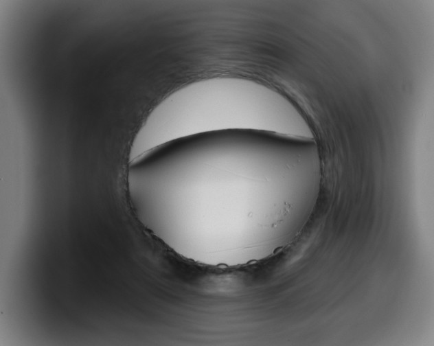 X0000099500307200805150955