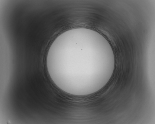 X0000099500308200805150955