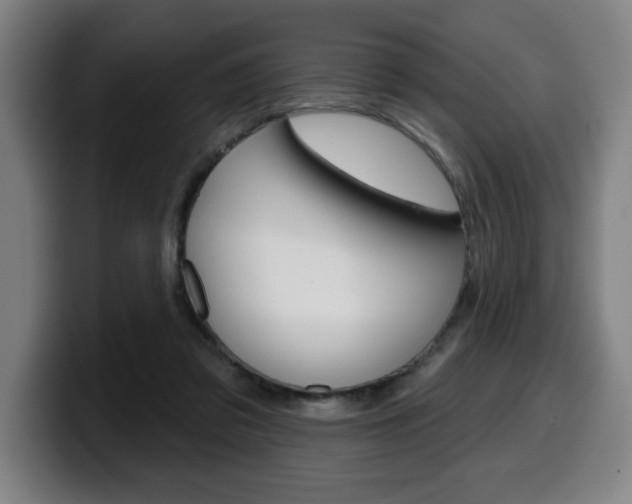 X0000099500309200805150955