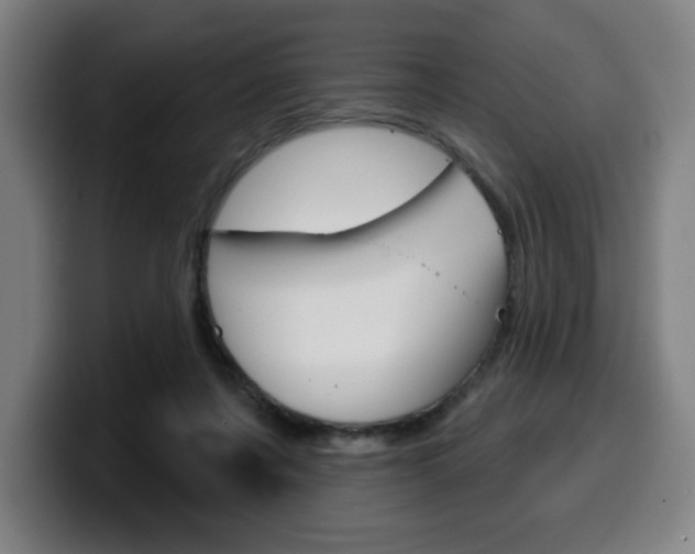 X0000099500311200805150955