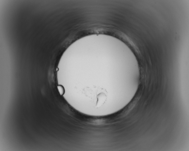 X0000099500313200805150955