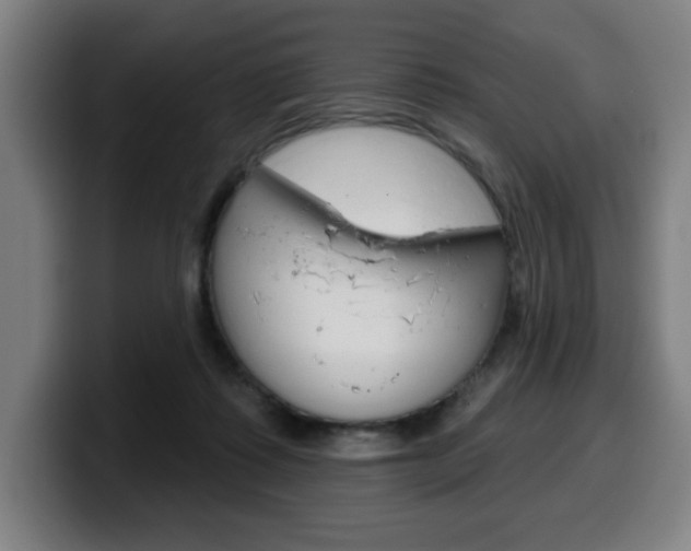 X0000099500315200805150955