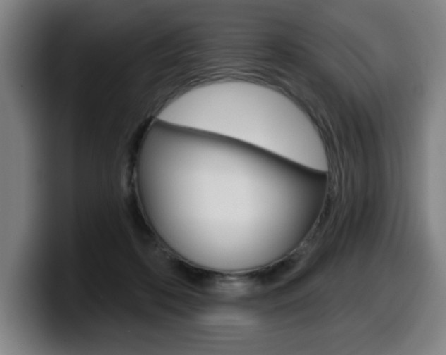 X0000099500316200805150955