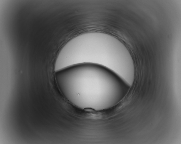 X0000099500317200805150955
