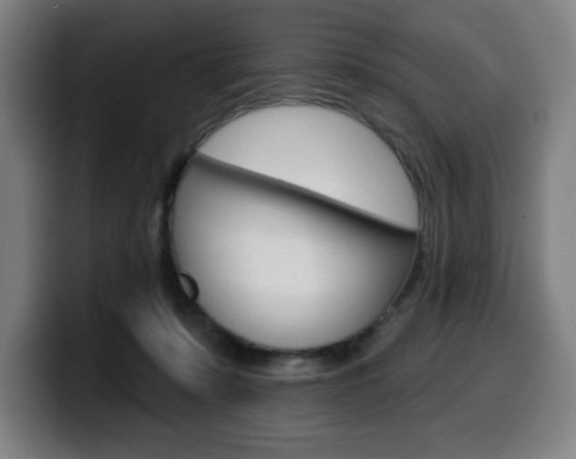 X0000099500319200805150955