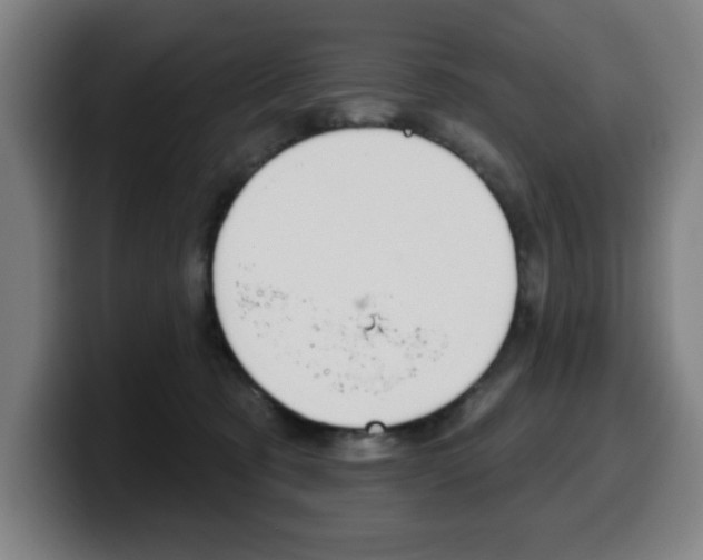 X0000099500321200805150955