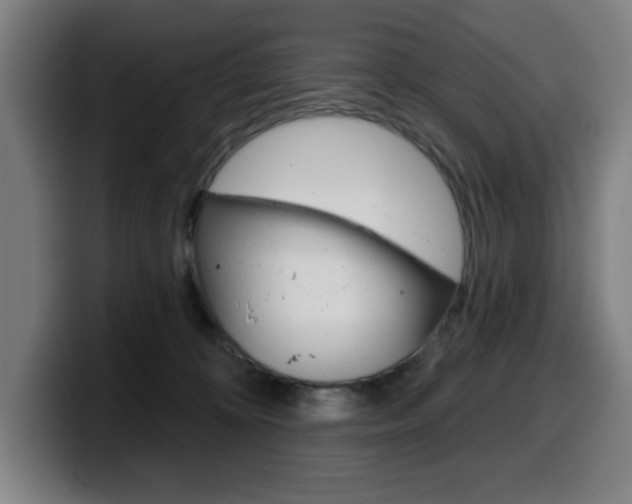X0000099500324200805150955