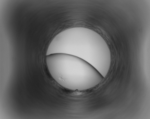 X0000099500326200805150955