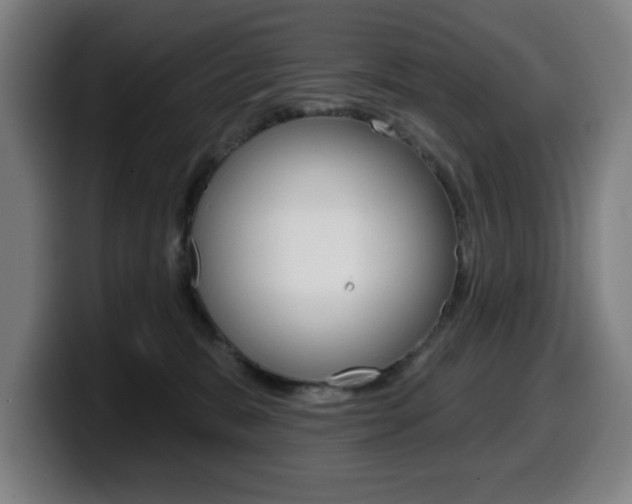 X0000099500327200805150955