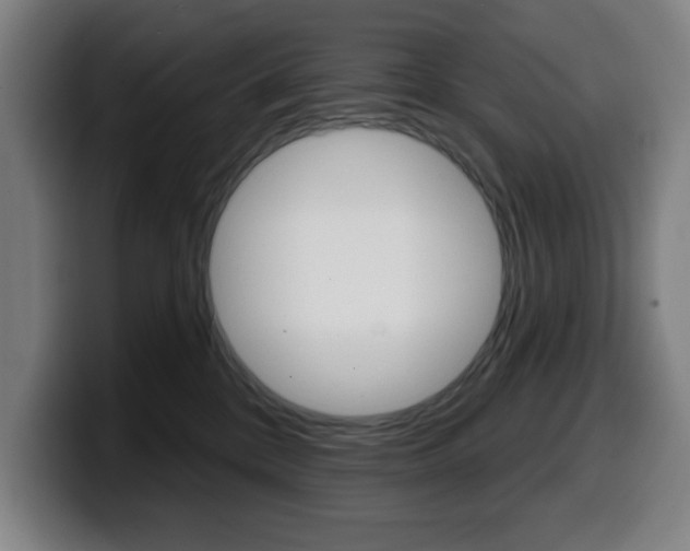 X0000099500328200805150955