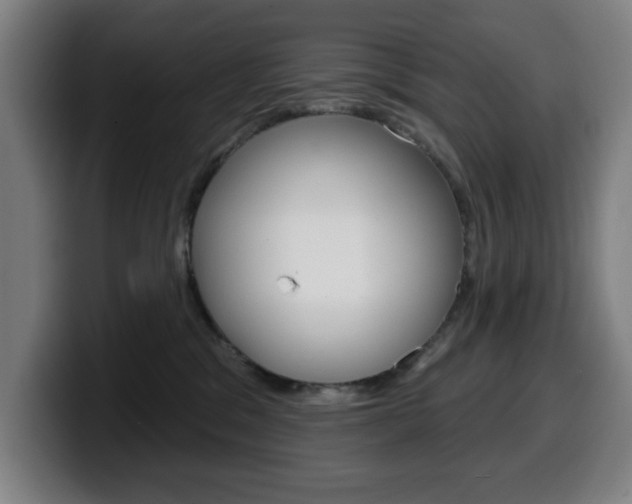 X0000099500329200805150955
