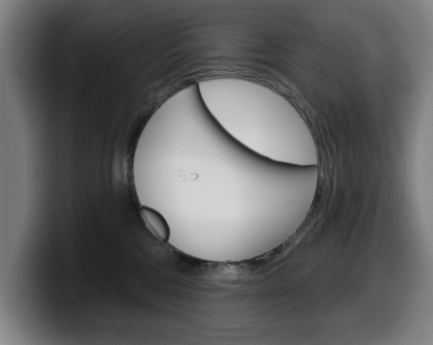 X0000099500330200805150955