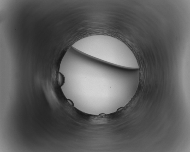 X0000099500331200805150955